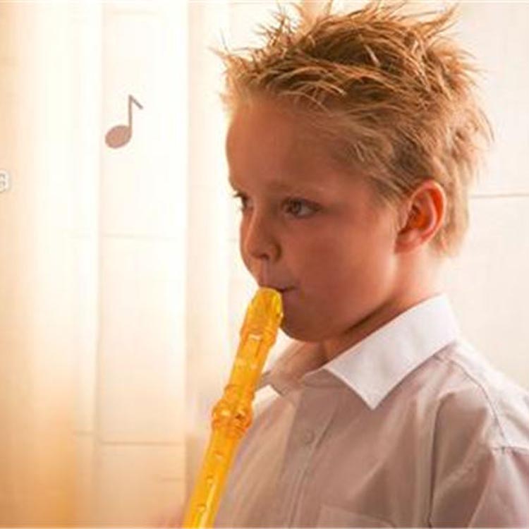 Soprano Descant Recorder-8 Hole Flute с инструкцией по очистке стержня